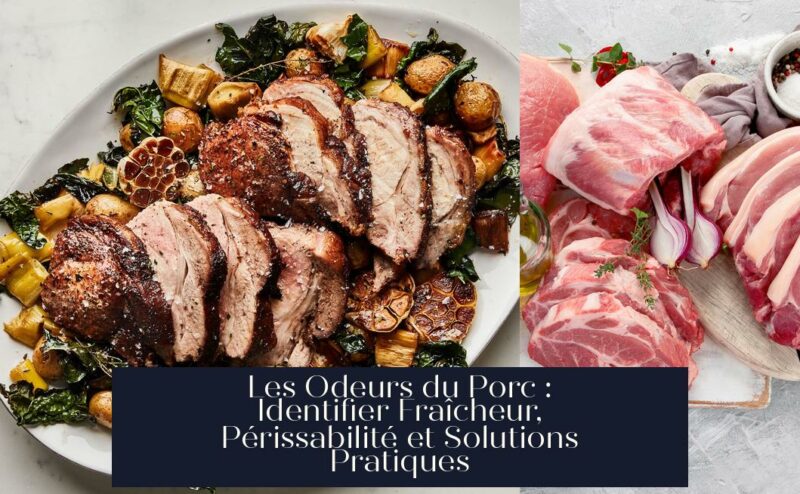 Les Odeurs du Porc : Identifier Fraîcheur, Périssabilité et Solutions Pratiques