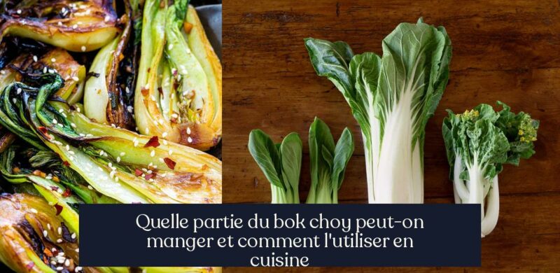 Quelle partie du bok choy peut-on manger et comment l'utiliser en cuisine