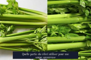 Quelle partie du céleri utiliser pour une soupe savoureuse