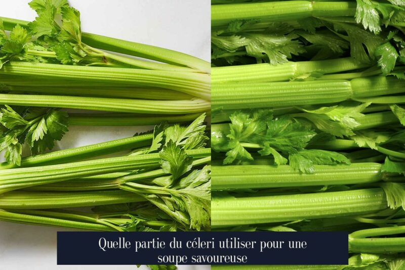 Quelle partie du céleri utiliser pour une soupe savoureuse