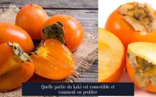 Quelle partie du kaki est comestible et comment en profiter