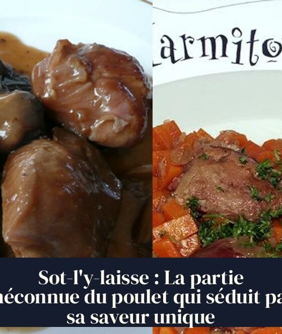 Sot-l'y-laisse : La partie méconnue du poulet qui séduit par sa saveur unique