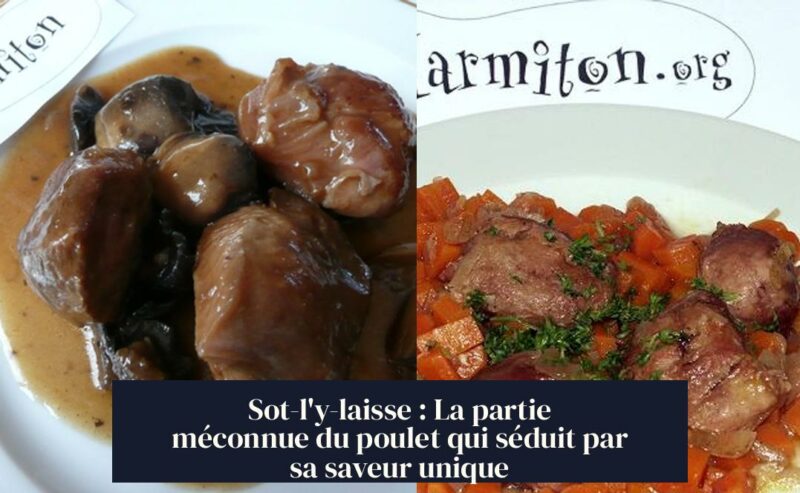 Sot-l'y-laisse : La partie méconnue du poulet qui séduit par sa saveur unique