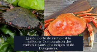 Quelle patte de crabe est la meilleure Comparaison des crabes royaux, des neiges et de Dungeness.