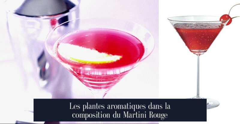 Les plantes aromatiques dans la composition du Martini Rouge