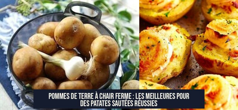 Pommes de terre à chair ferme : les meilleures pour des patates sautées réussies