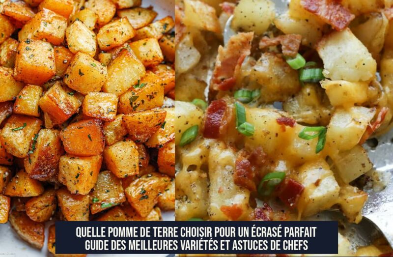 Quelle pomme de terre choisir pour un écrasé parfait Guide des meilleures variétés et astuces de chefs