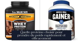 Quelle protéine choisir pour prendre du poids rapidement et efficacement