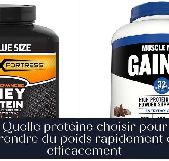 Quelle protéine choisir pour prendre du poids rapidement et efficacement