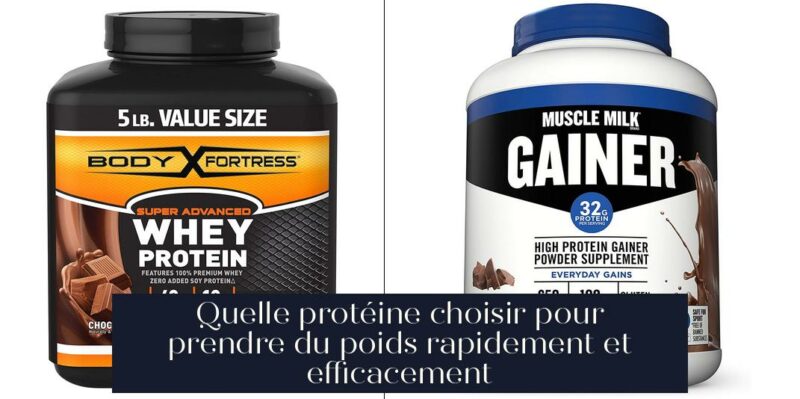 Quelle protéine choisir pour prendre du poids rapidement et efficacement