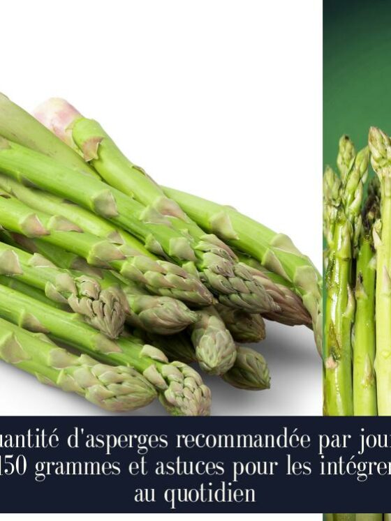 Quantité d'asperges recommandée par jour : 150 grammes et astuces pour les intégrer au quotidien