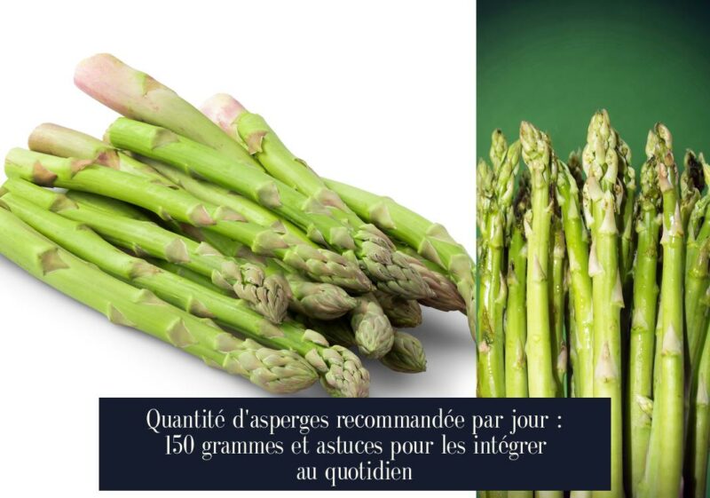 Quantité d'asperges recommandée par jour : 150 grammes et astuces pour les intégrer au quotidien