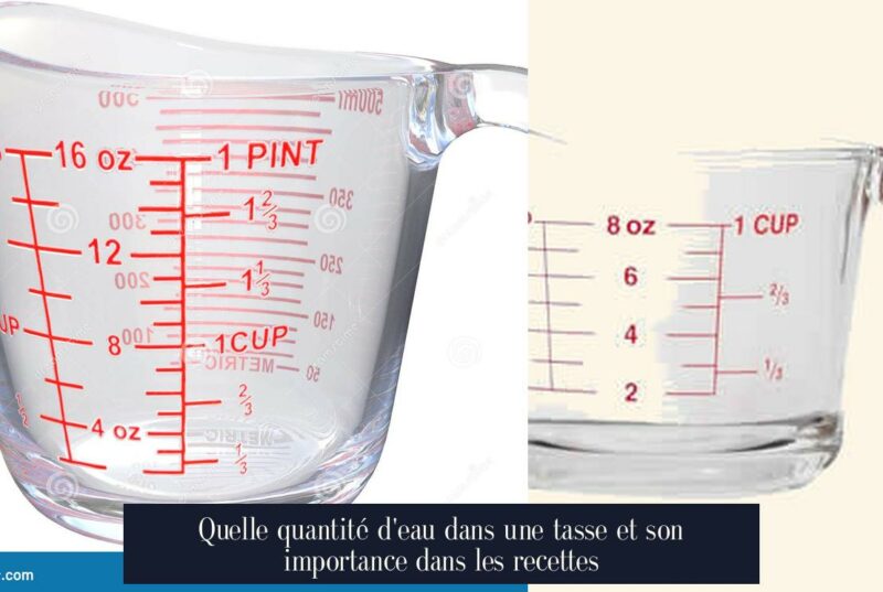 Quelle quantité d'eau dans une tasse et son importance dans les recettes