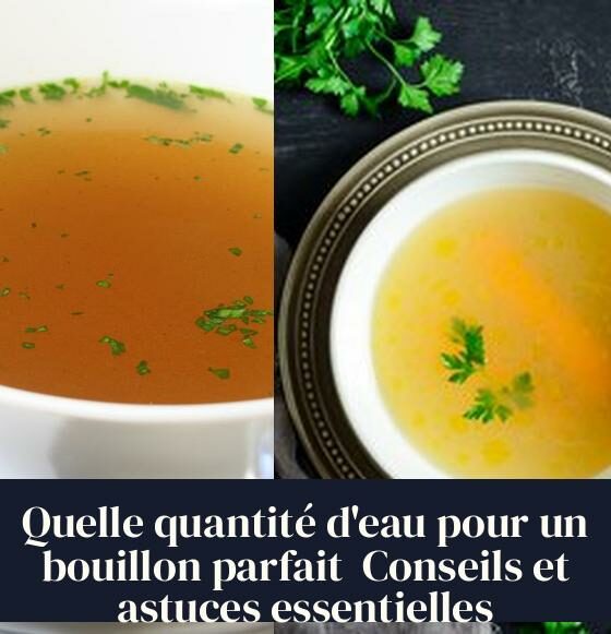 Quelle quantité d'eau pour un bouillon parfait Conseils et astuces essentielles