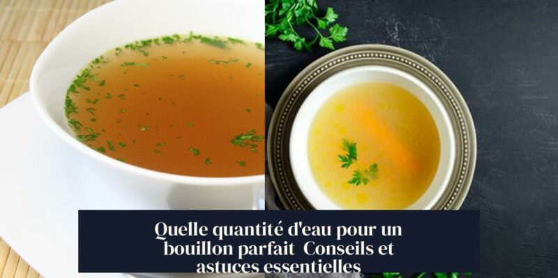 Quelle quantité d'eau pour un bouillon parfait Conseils et astuces essentielles