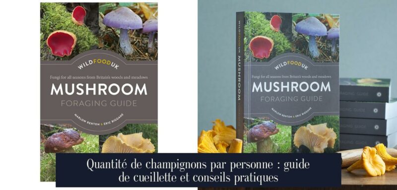 Quantité de champignons par personne : guide de cueillette et conseils pratiques