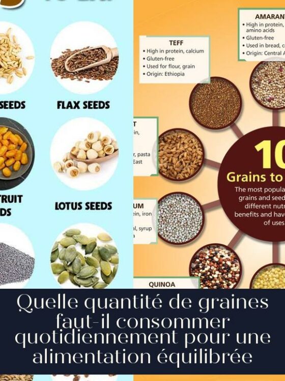 Quelle quantité de graines faut-il consommer quotidiennement pour une alimentation équilibrée