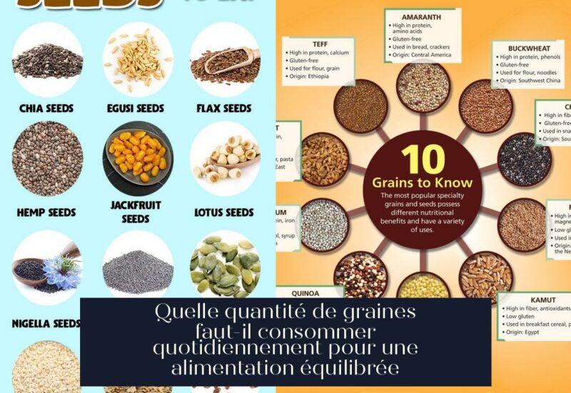 Quelle quantité de graines faut-il consommer quotidiennement pour une alimentation équilibrée
