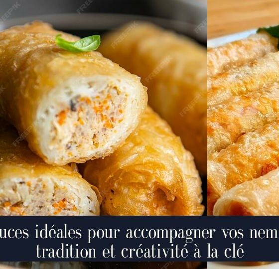Sauces idéales pour accompagner vos nems : tradition et créativité à la clé