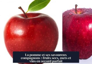 La pomme et ses savoureux compagnons : fruits secs, mets et vins en accord parfait