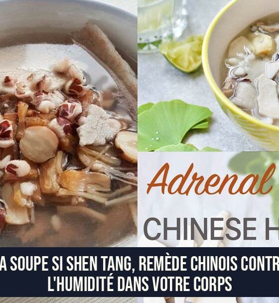 La soupe Si Shen Tang, remède chinois contre l'humidité dans votre corps