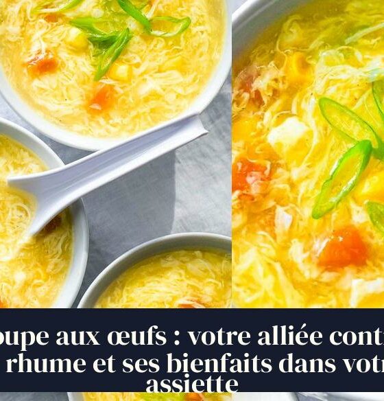 Soupe aux œufs : votre alliée contre le rhume et ses bienfaits dans votre assiette