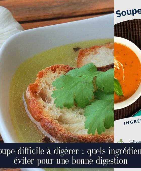 Soupe difficile à digérer : quels ingrédients éviter pour une bonne digestion
