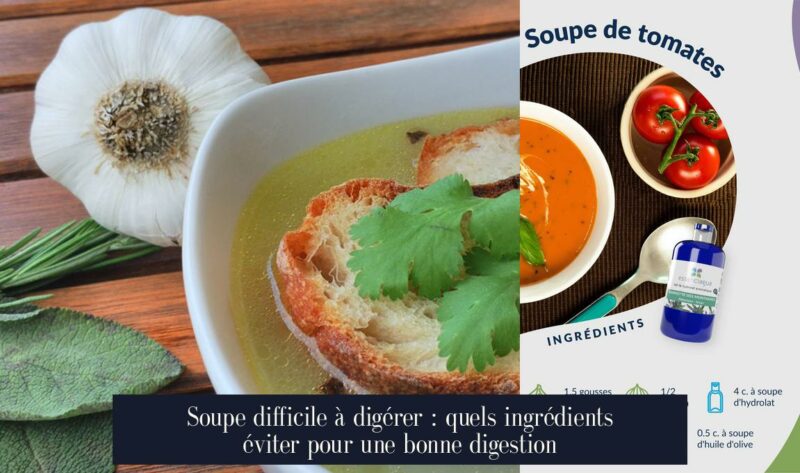 Soupe difficile à digérer : quels ingrédients éviter pour une bonne digestion