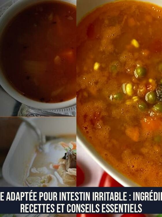 Soupe adaptée pour intestin irritable : ingrédients, recettes et conseils essentiels