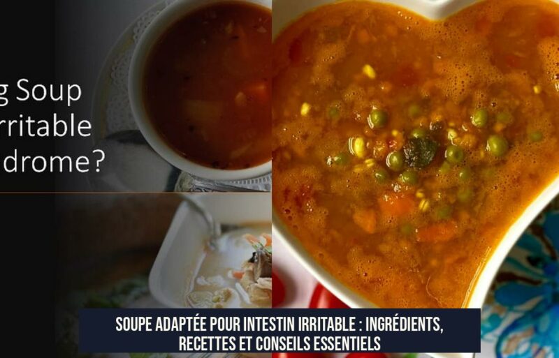 Soupe adaptée pour intestin irritable : ingrédients, recettes et conseils essentiels