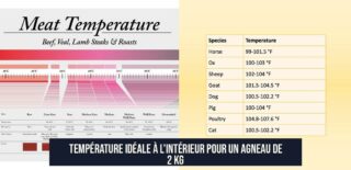 Température idéale à l'intérieur pour un agneau de 2 kg