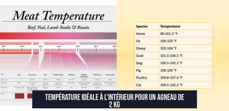 Température idéale à l'intérieur pour un agneau de 2 kg