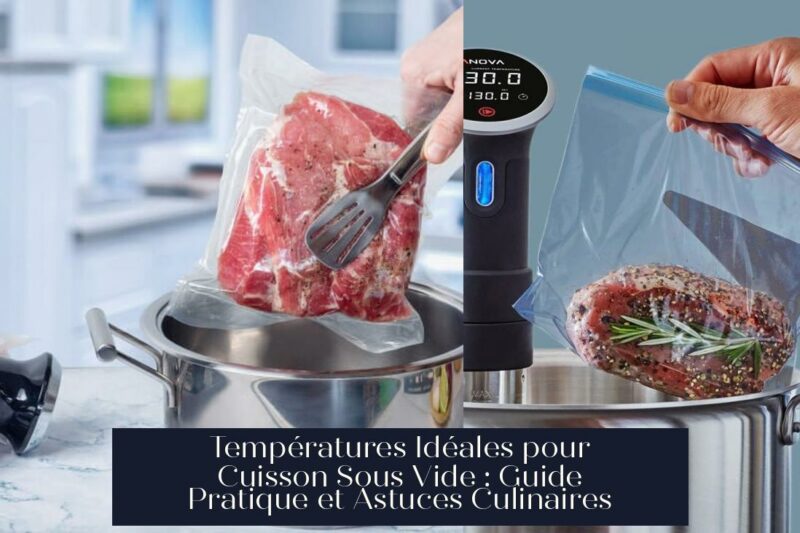 Températures Idéales pour Cuisson Sous Vide : Guide Pratique et Astuces Culinaires