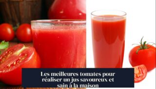 Les meilleures tomates pour réaliser un jus savoureux et sain à la maison