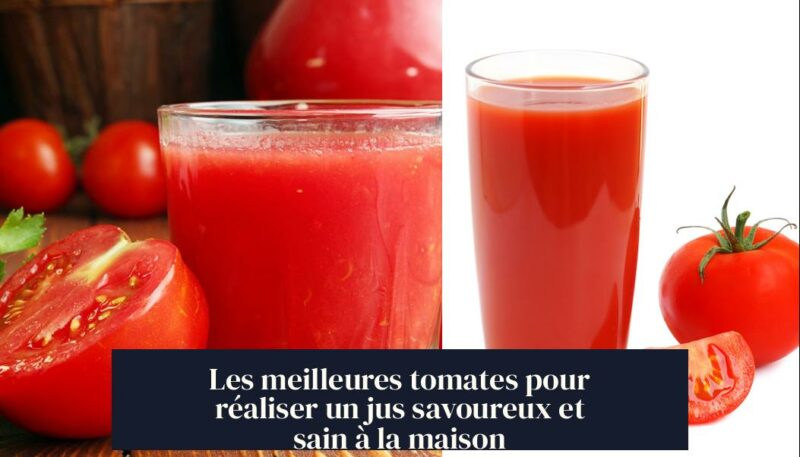 Les meilleures tomates pour réaliser un jus savoureux et sain à la maison
