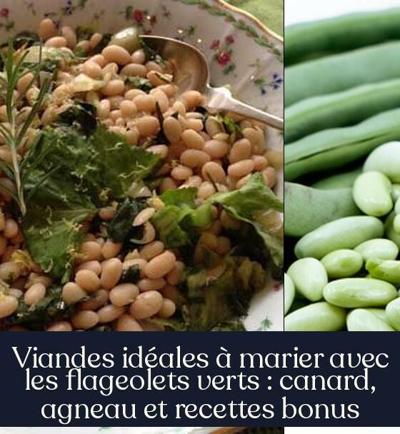 Viandes idéales à marier avec les flageolets verts : canard, agneau et recettes bonus
