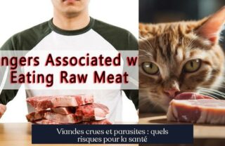 Viandes crues et parasites : quels risques pour la santé
