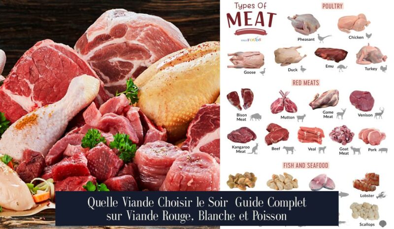 Quelle Viande Choisir le Soir Guide Complet sur Viande Rouge, Blanche et Poisson