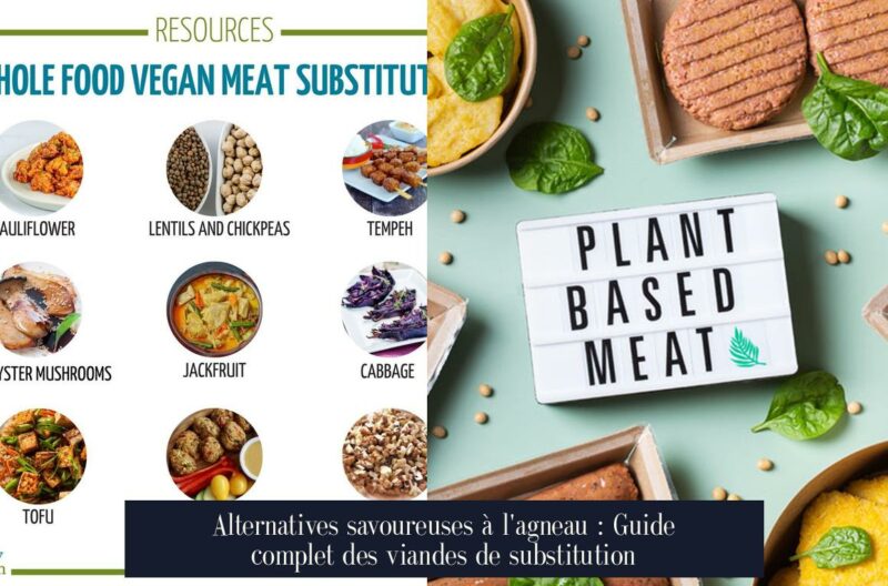 Alternatives savoureuses à l'agneau : Guide complet des viandes de substitution
