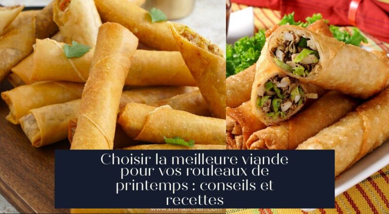 Choisir la meilleure viande pour vos rouleaux de printemps : conseils et recettes
