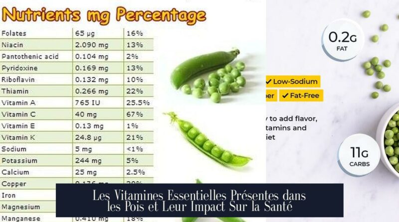 Les Vitamines Essentielles Présentes dans les Pois et Leur Impact Sur la Santé