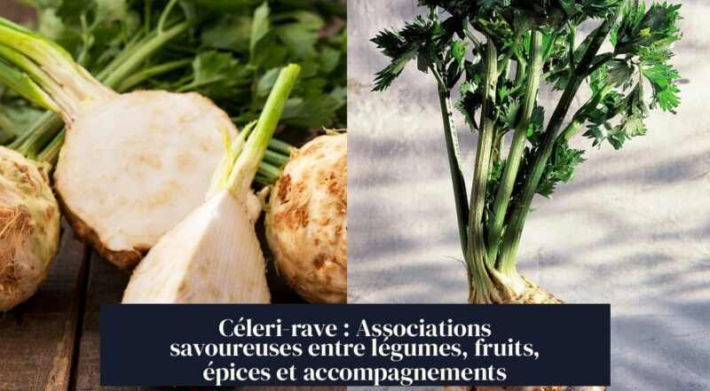 Céleri-rave : Associations savoureuses entre légumes, fruits, épices et accompagnements