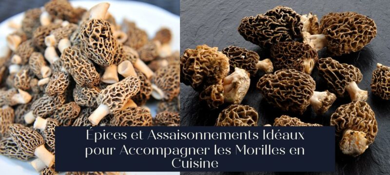Épices et Assaisonnements Idéaux pour Accompagner les Morilles en Cuisine