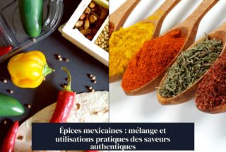 Épices mexicaines : mélange et utilisations pratiques des saveurs authentiques