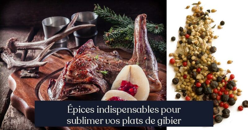 Épices indispensables pour sublimer vos plats de gibier
