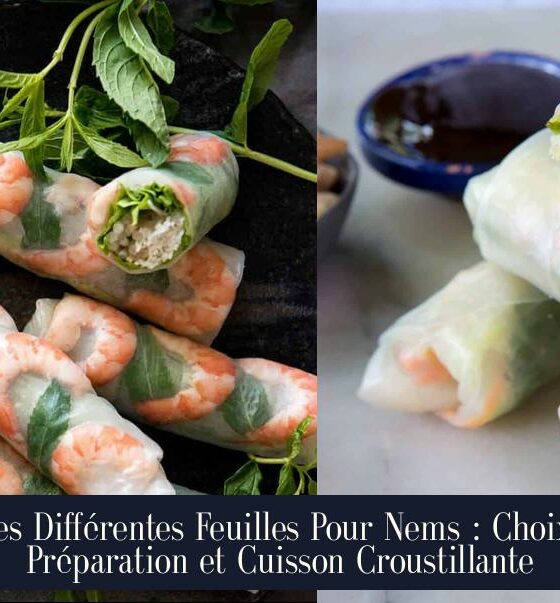 Les Différentes Feuilles Pour Nems : Choix, Préparation et Cuisson Croustillante