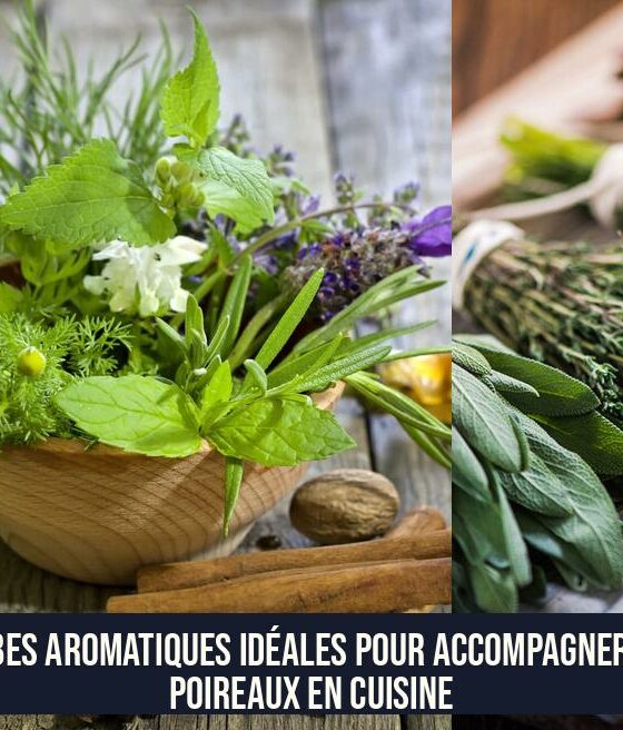 Herbes aromatiques idéales pour accompagner vos poireaux en cuisine