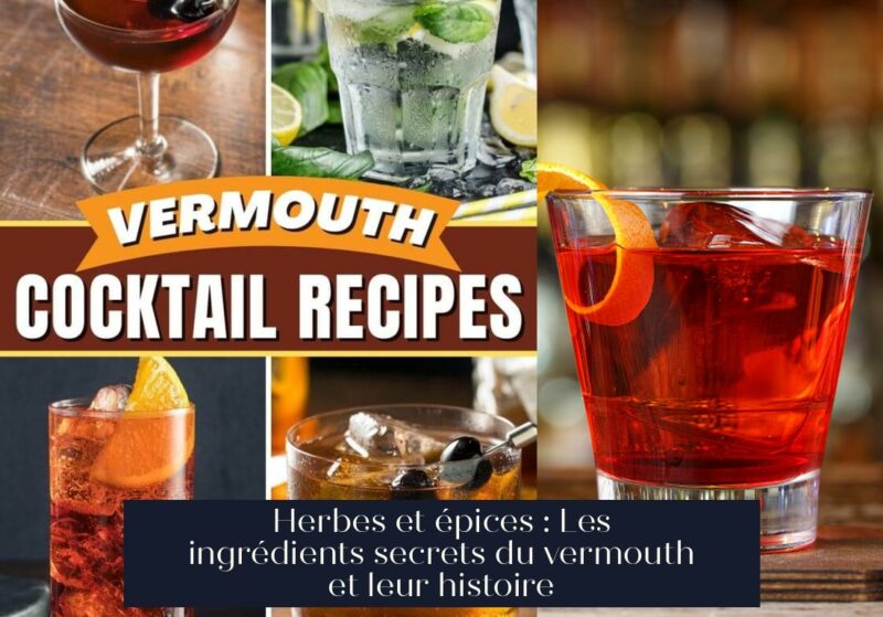 Herbes et épices : Les ingrédients secrets du vermouth et leur histoire