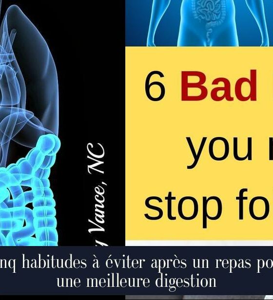 Cinq habitudes à éviter après un repas pour une meilleure digestion