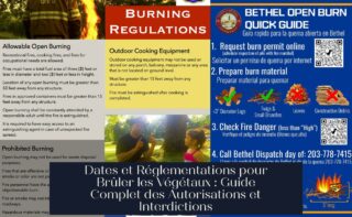 Dates et Réglementations pour Brûler les Végétaux : Guide Complet des Autorisations et Interdictions